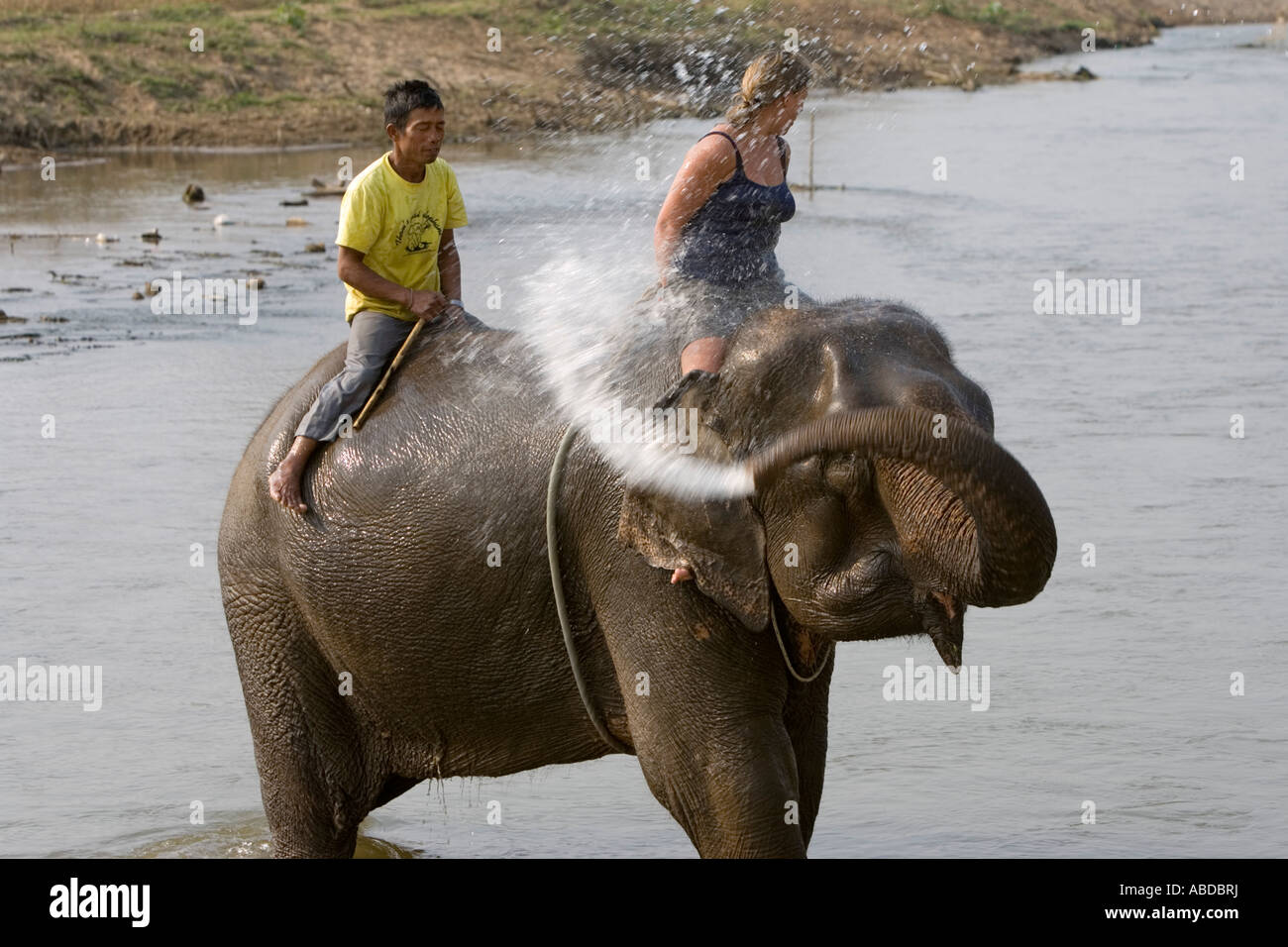 Elephant schizzi e spruzzi sorprendente giovane turista in fiume su trek nei pressi di Pai a nord della Thailandia Foto Stock