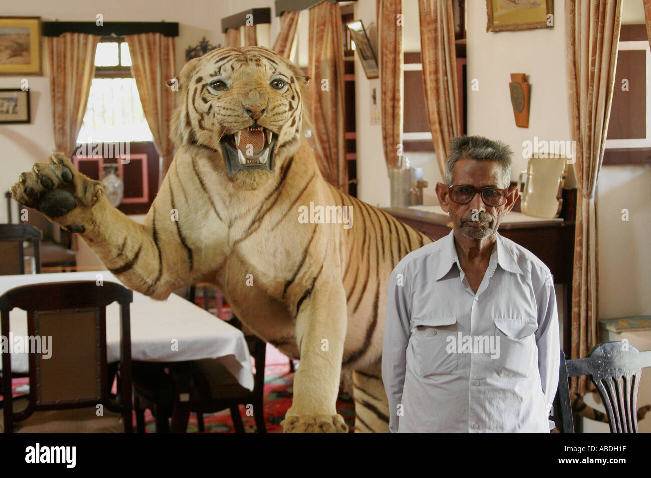 L'uomo pone con ripieni Tiger Bhuj Gujarat India Foto Stock