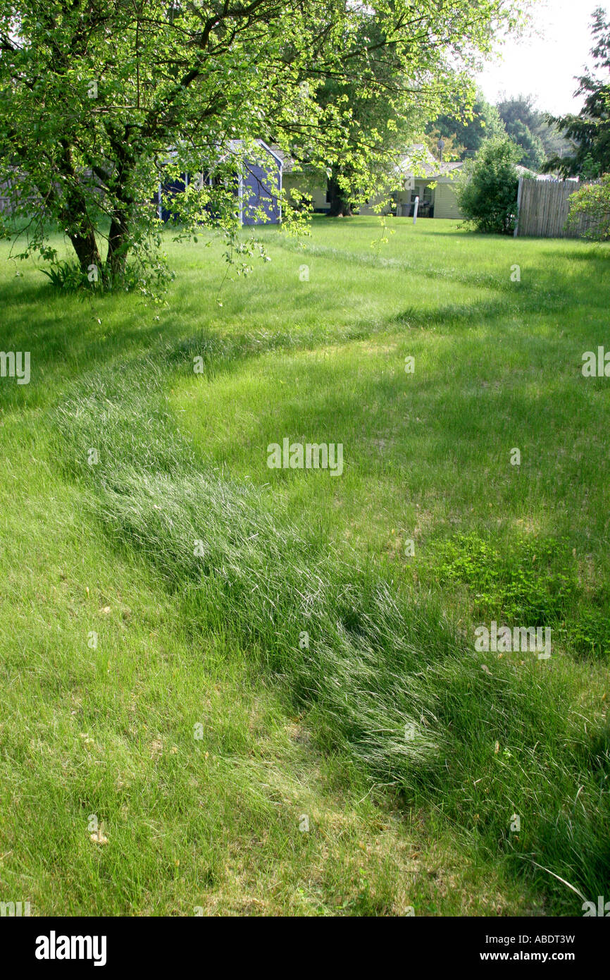 Fertilizzante di azoto stripe. Foto Stock