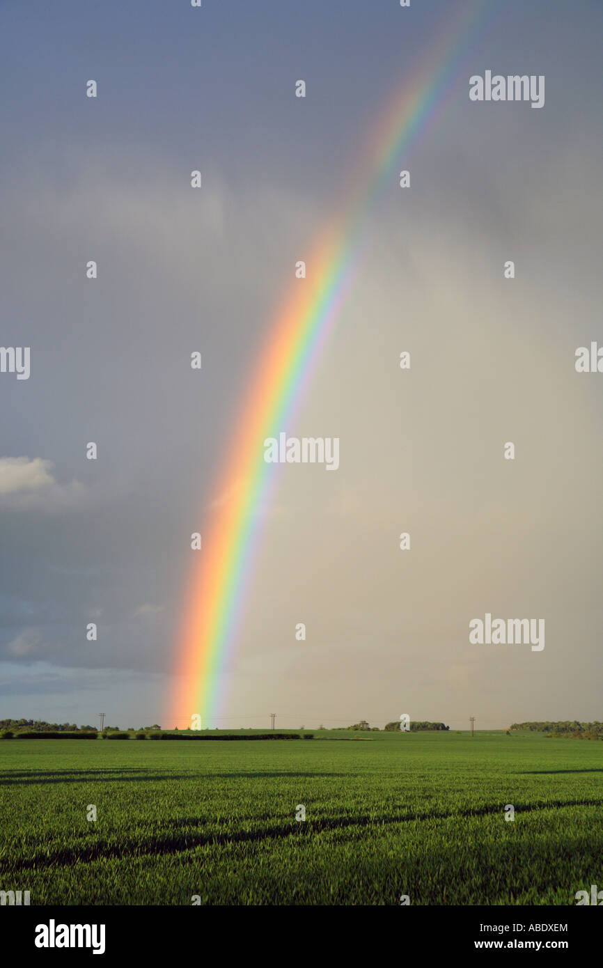 Rainbow su campi, Cambridgeshire Foto Stock