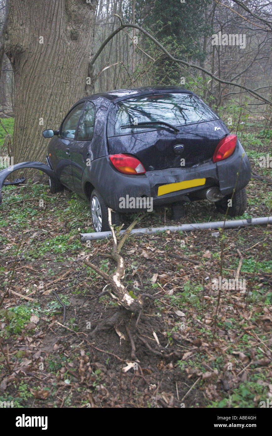 Ford Ka trascinato in una struttura ad albero Foto Stock