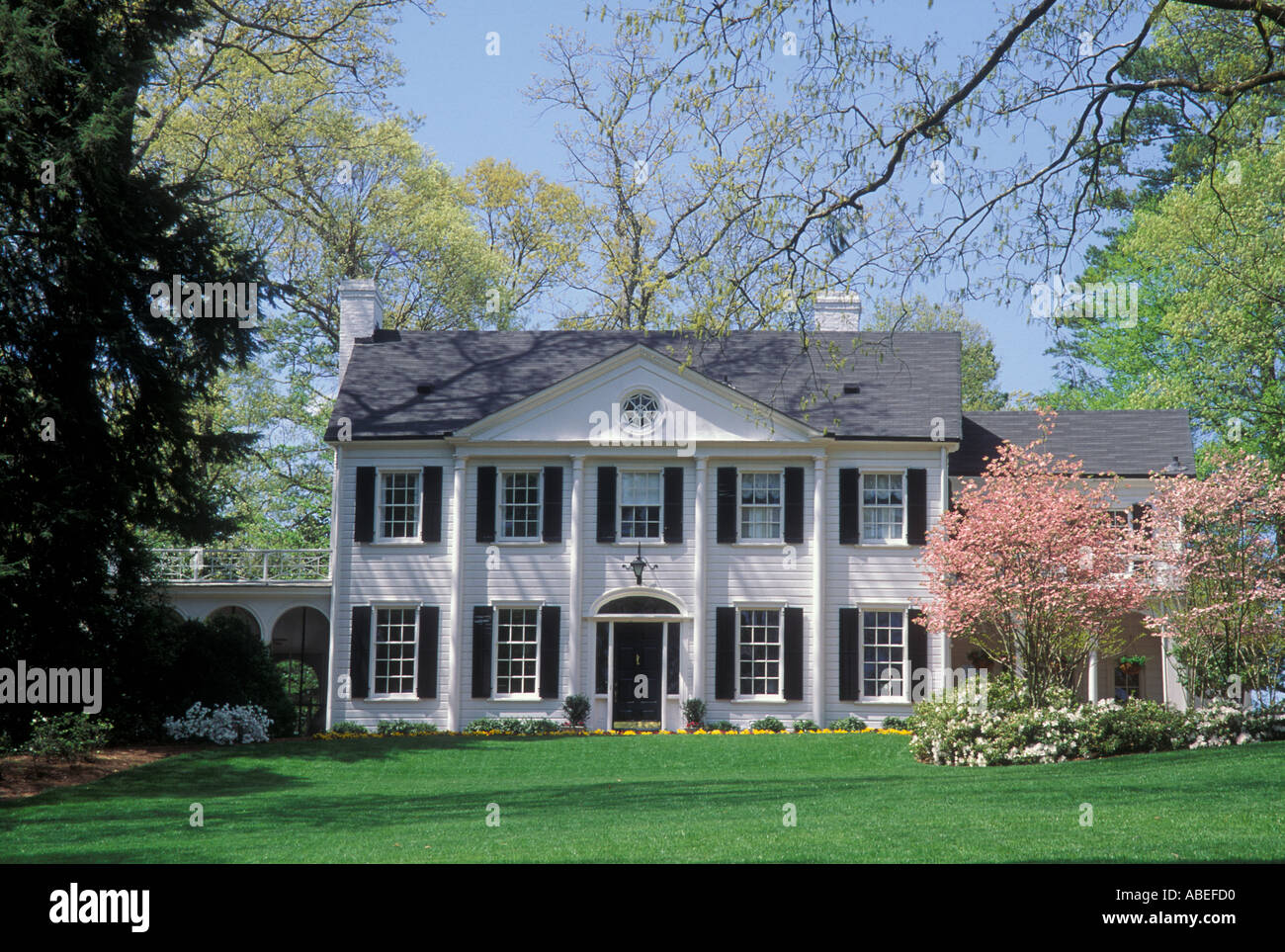 Indovina  da un'immagine il Film - Pagina 23 Bianco-casa-coloniale-rosa-sanguinello-alberi-prato-delle-colonne-buckhead-atlanta-in-georgia-abefd0