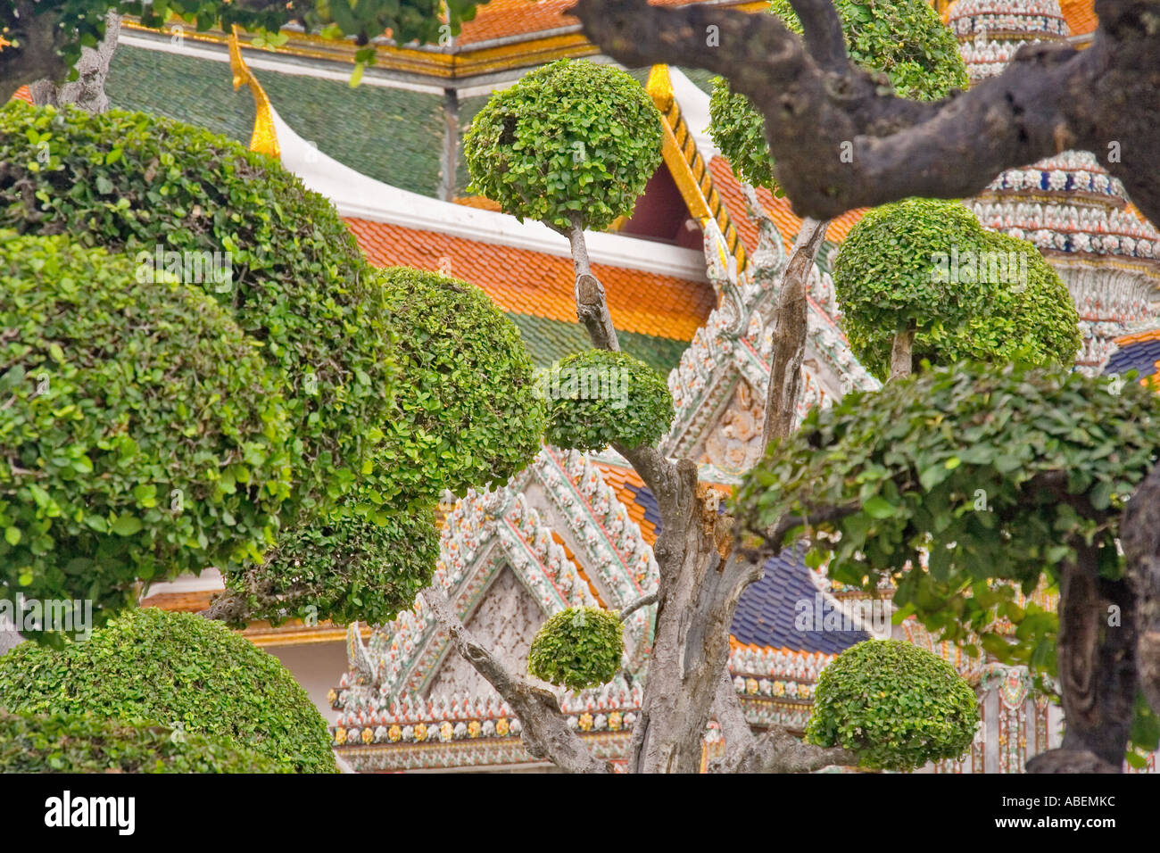 Thailandia casa verde di viaggio turistico ad albero architettura naturale di grandi dimensioni Foto Stock