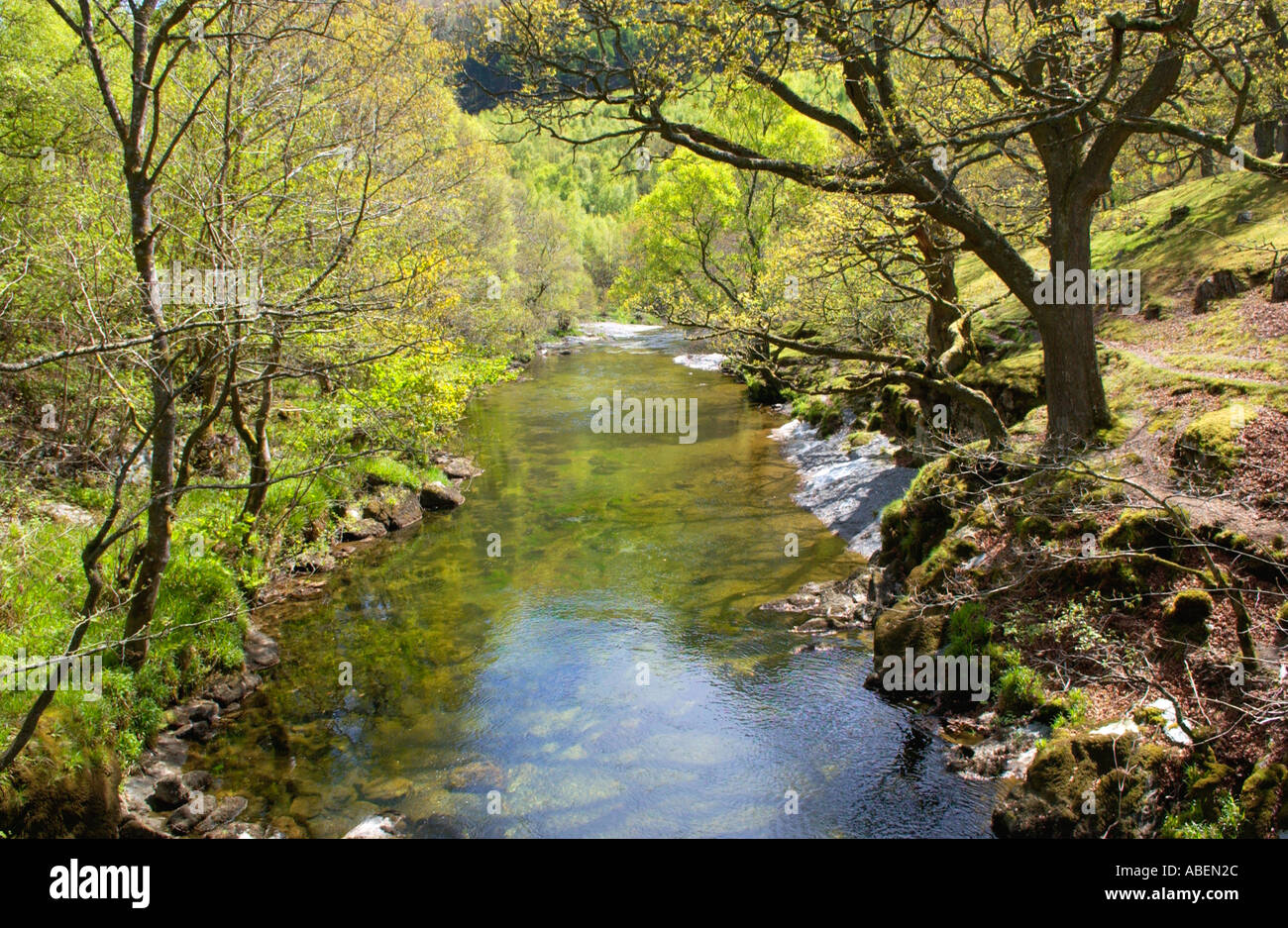 Alto fiume Wye vicino Rhayader Powys Mid Wales UK Foto Stock