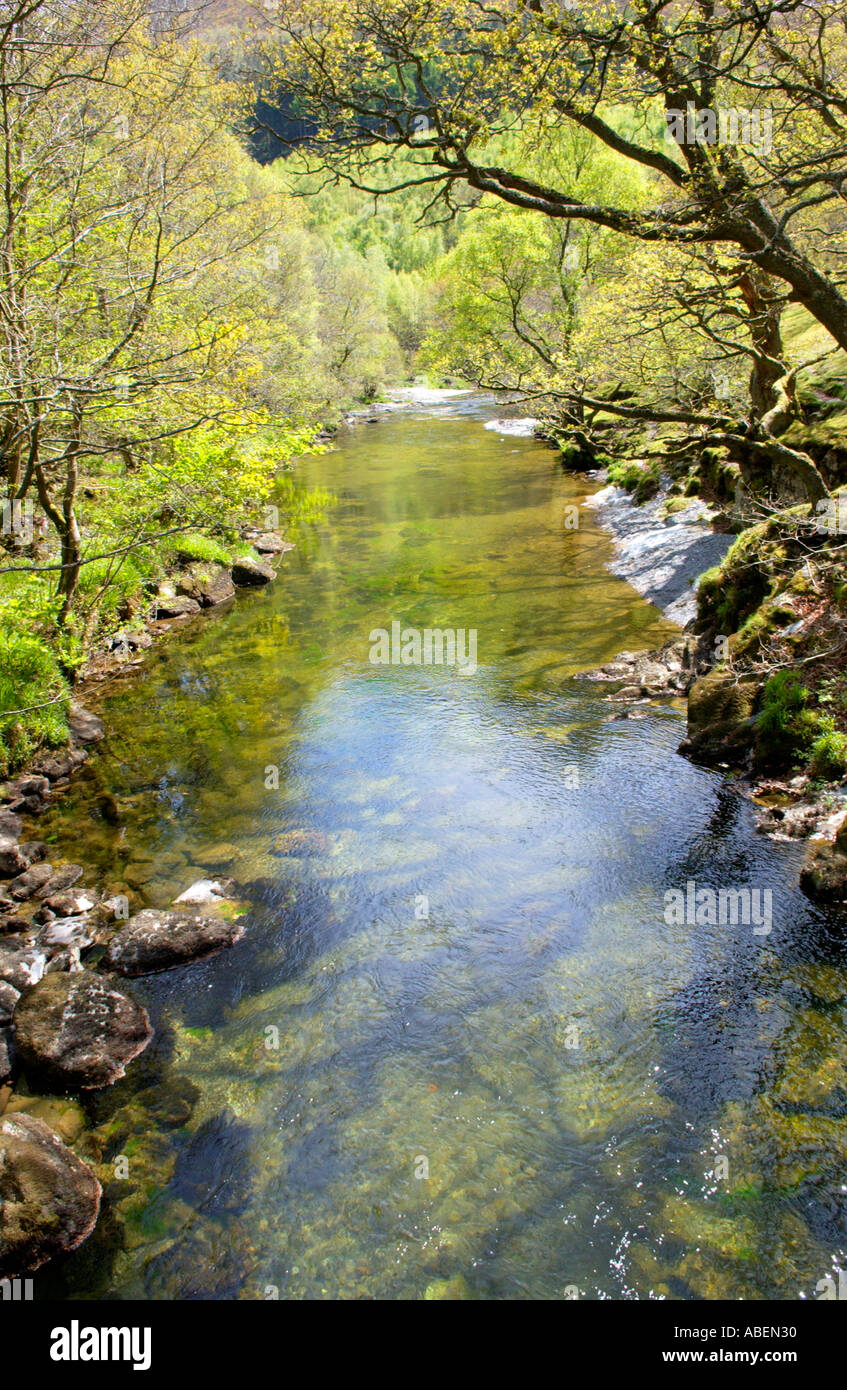 Alto fiume Wye vicino Rhayader Powys Mid Wales UK Foto Stock