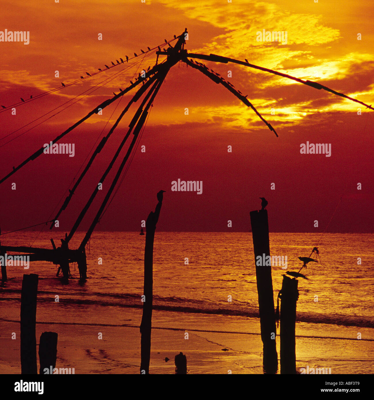 Reti cinesi al crepuscolo Fort Cochin mare India Kerala Foto Stock