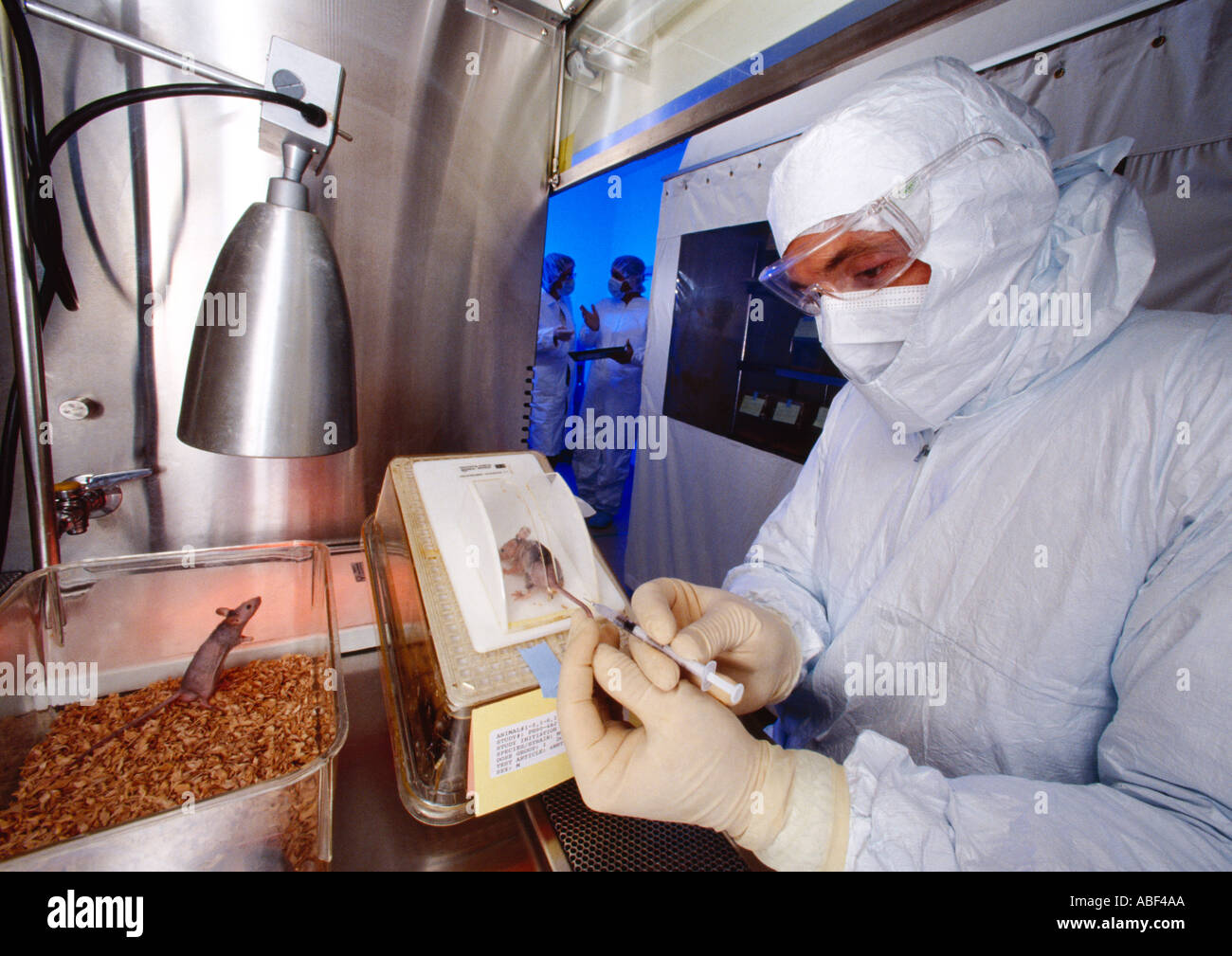 Animali da laboratorio di ricerca - un ricercatore si prepara a iniettare un laboratorio mouse mentre i colleghi consultare in background / STATI UNITI D'AMERICA. Foto Stock