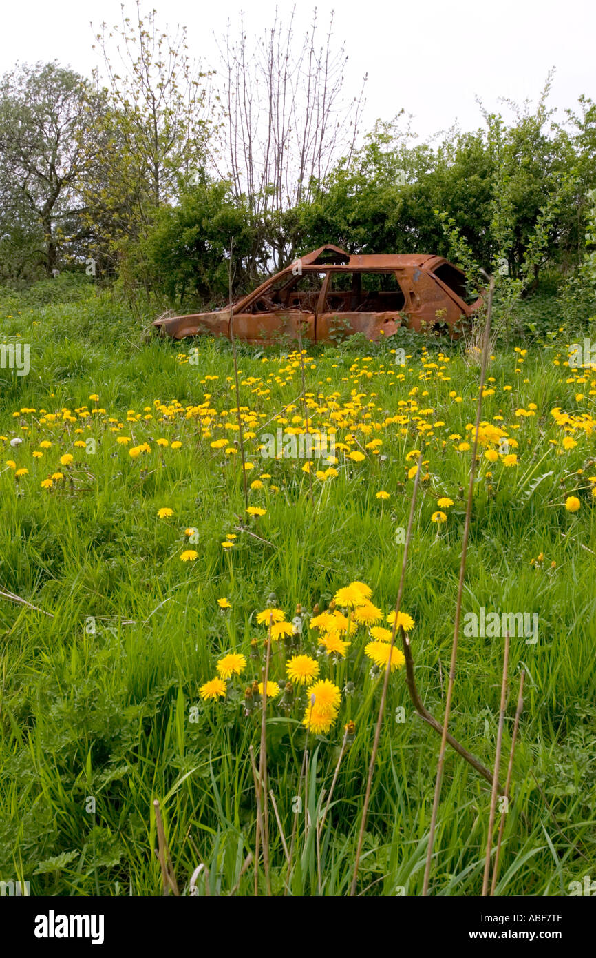 Bruciata auto abbandonate in un campo di agricoltori Foto Stock