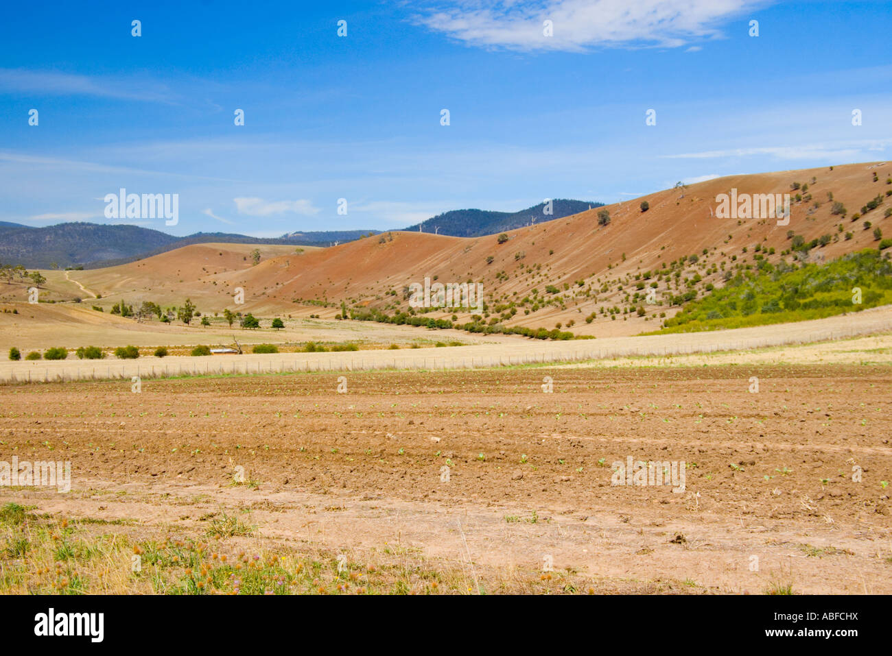 Colpite dalla siccità campagna australiana Foto Stock