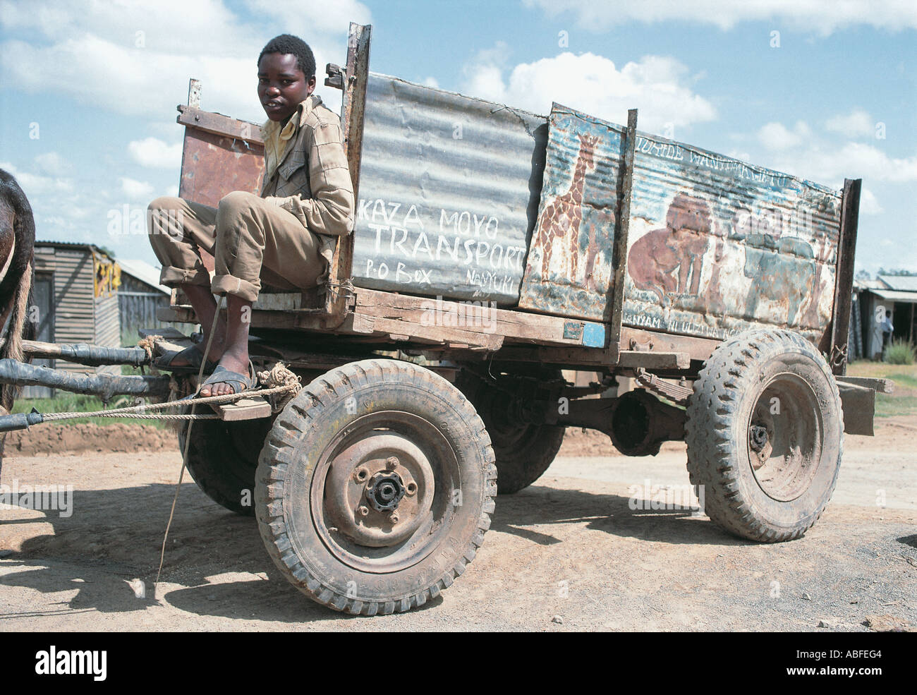 Una gioventù Kikuyu seduti su un carro trainato da tre asini provincia centrale Kenya Africa orientale Foto Stock