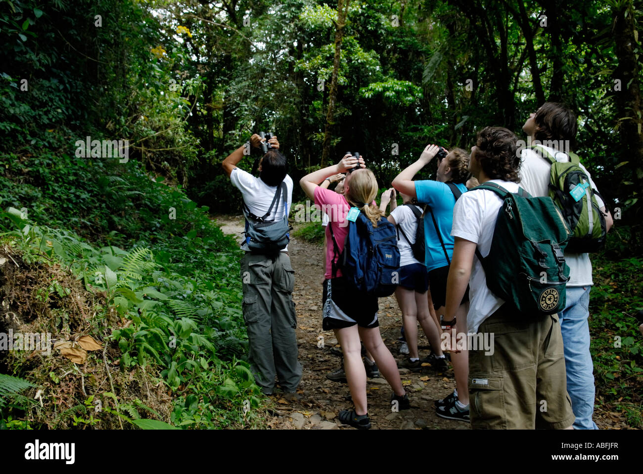 Giovani ecotourists su uno studente di viaggio con una Costa Rican guida naturalista osservazione faunistica in Monteverde Cloud Forest Foto Stock