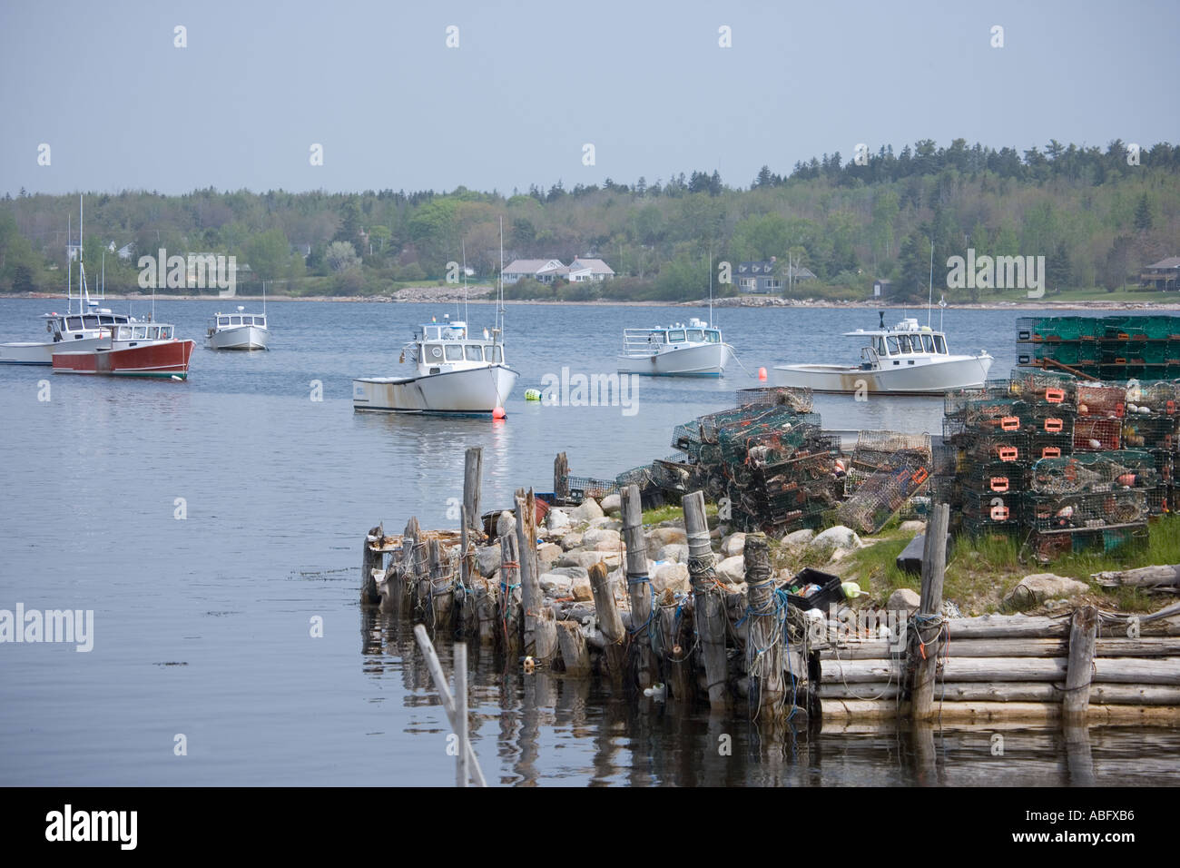Lobster barche ormeggiate lungo la costa del Maine Foto Stock