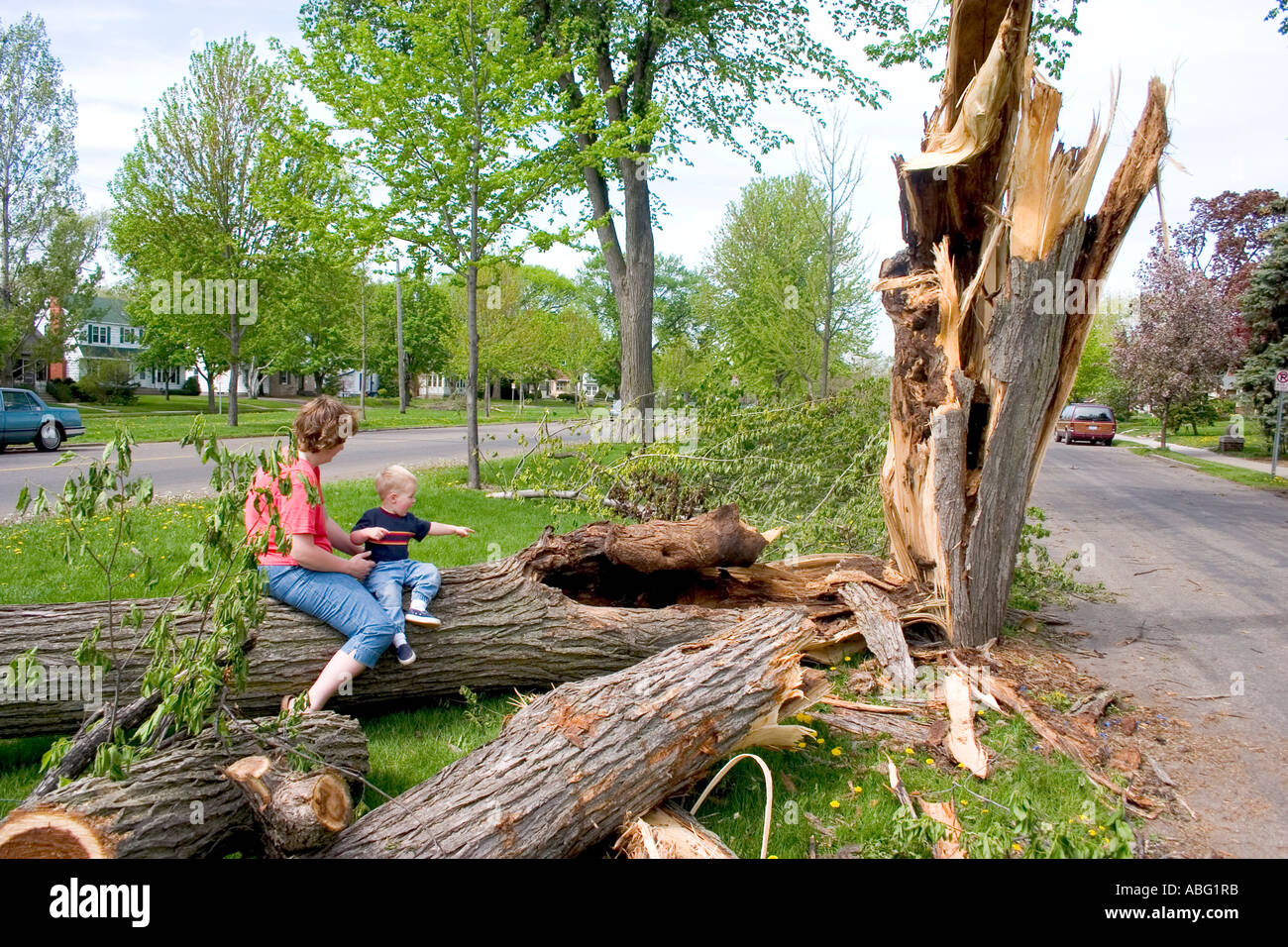 Madre e figlio di ispezionare albero lacerata da un tornado. St Paul Minnesota MN USA Foto Stock