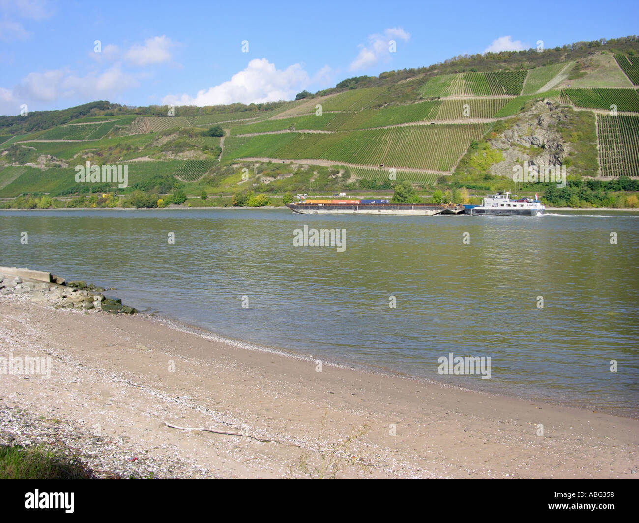 Regione viticola sul Reno, Germania Foto Stock