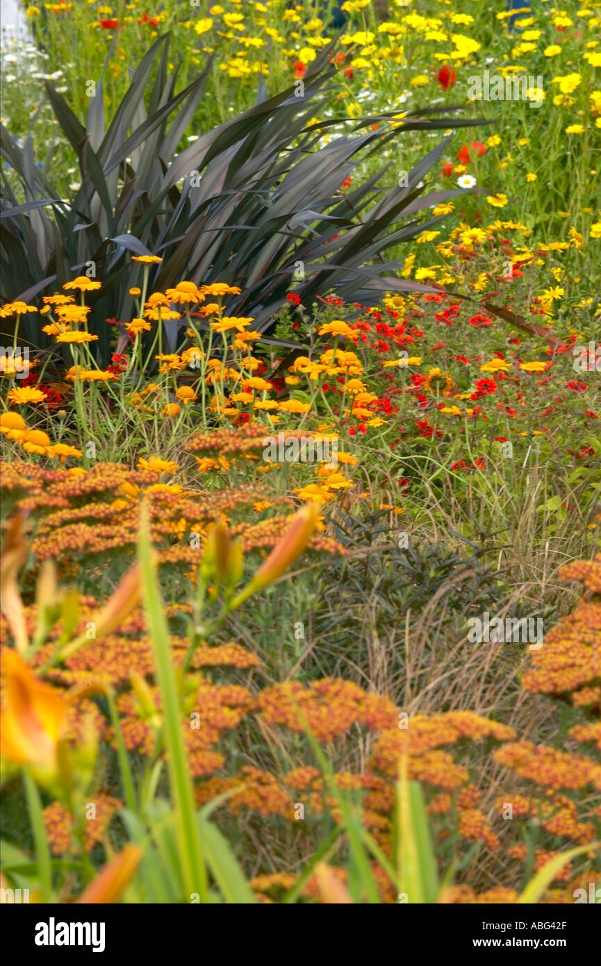 L'Agenzia per l'ambiente mostrano giardino a Tatton Flower Show 2004 Nuova Zelanda Lino Foto Stock