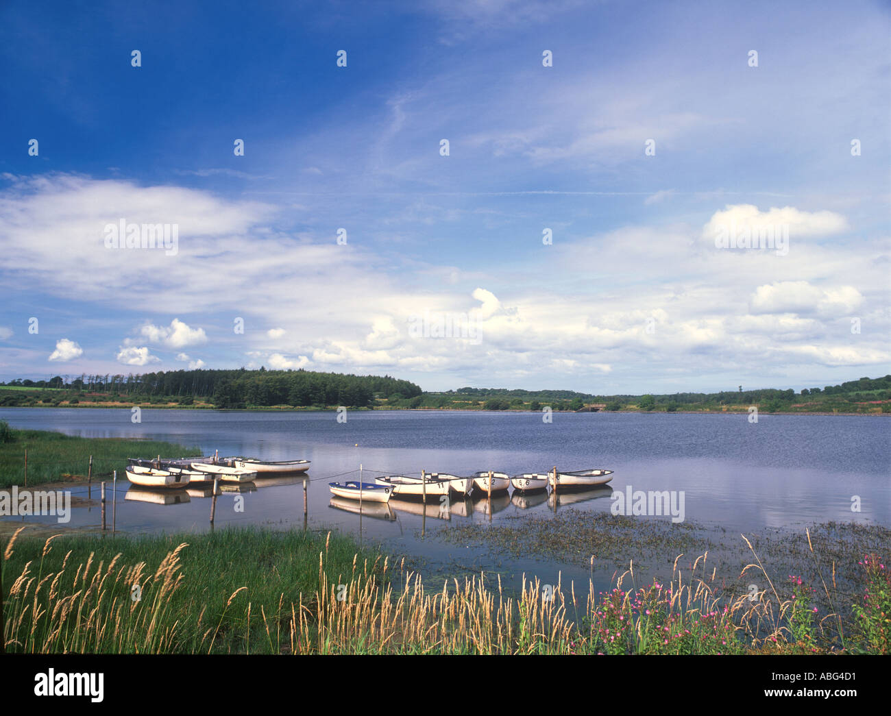 Serbatoio Cefni Llangefni Anglesey North West Wales Foto Stock