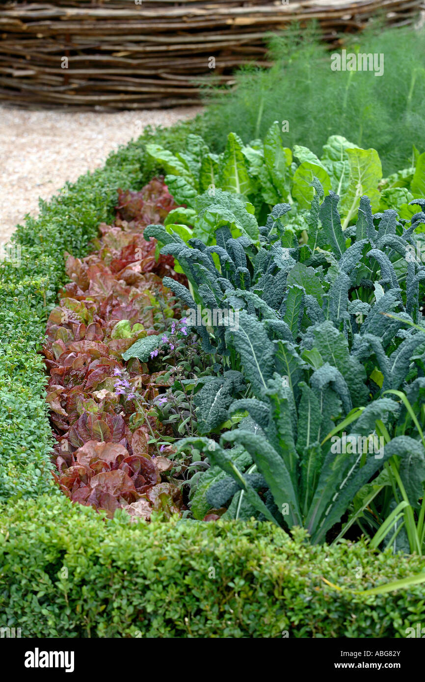 Gestire tout. Progettista: FRANCESCA CLEARY & IAN LAWRENCE. HAMPTON COURT PALACE FLOWER SHOW 2007 Foto Stock