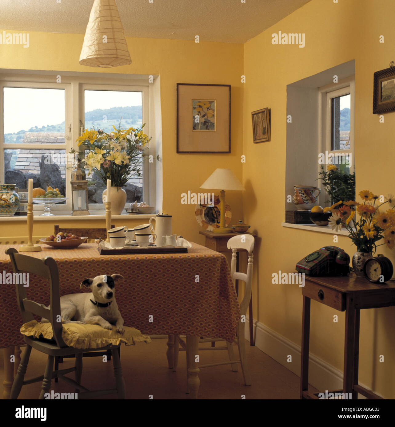 Cane seduto su una sedia sala da pranzo Foto Stock