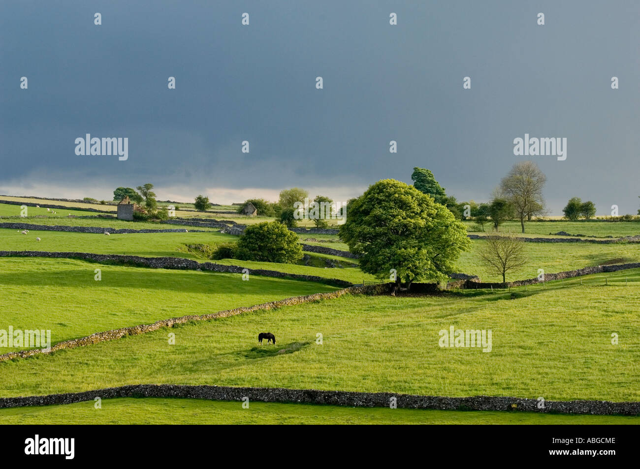 Aria di tempesta oltre la brughiera vicino al villaggio di Staffordshire di Grindon Foto Stock