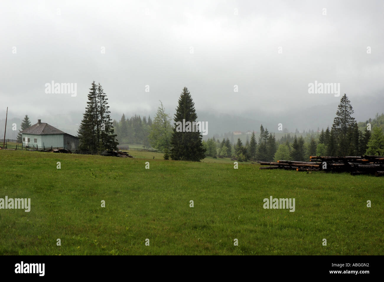 Borgo Pass, Transilvania, Romania, featured in Bram Stoker's romanzo Dracula. Foto Stock