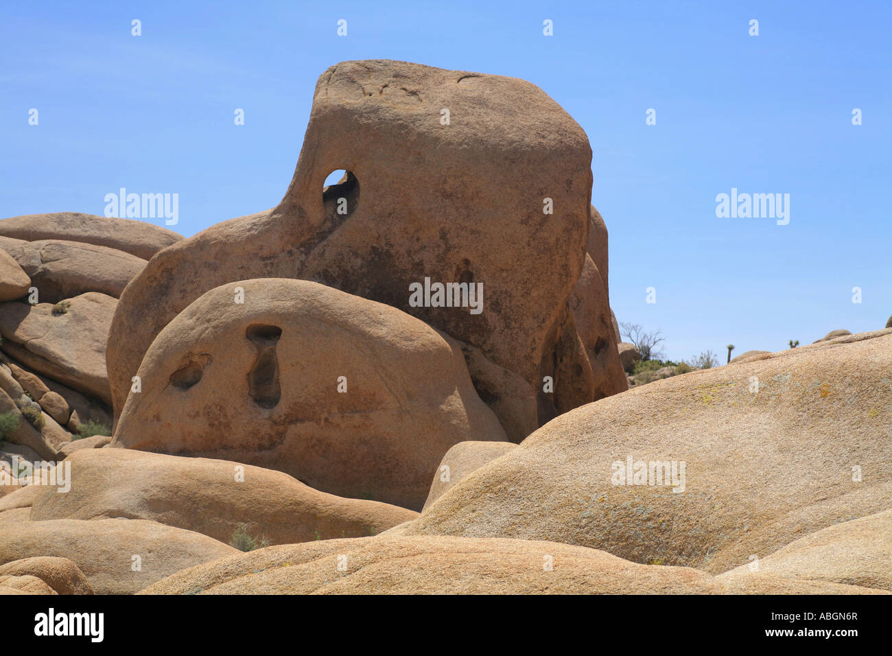 Cranio Rock formazione geologica, Joshua Tree National Park, California, Stati Uniti d'America Foto Stock