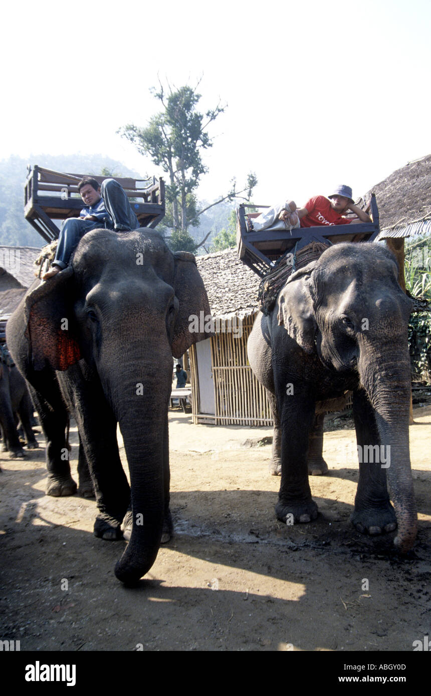 Due lavoratori con elefanti indiani prendere pausa prima del prossimo turisti in Chiang Mai Thailandia Foto Stock