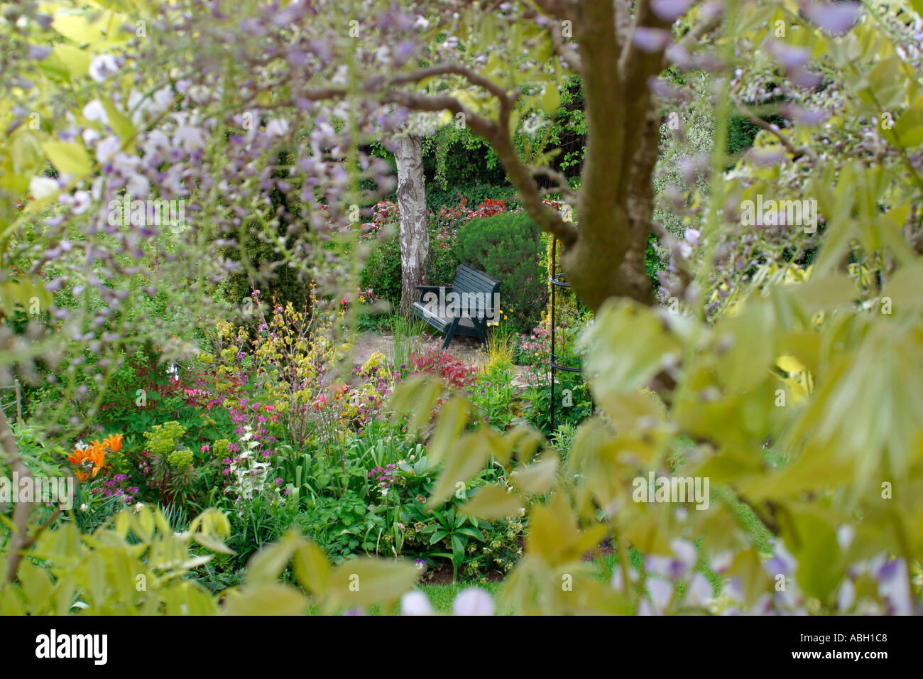 Un appartato giardino panchina intravisto attraverso il fogliame. Foto Stock