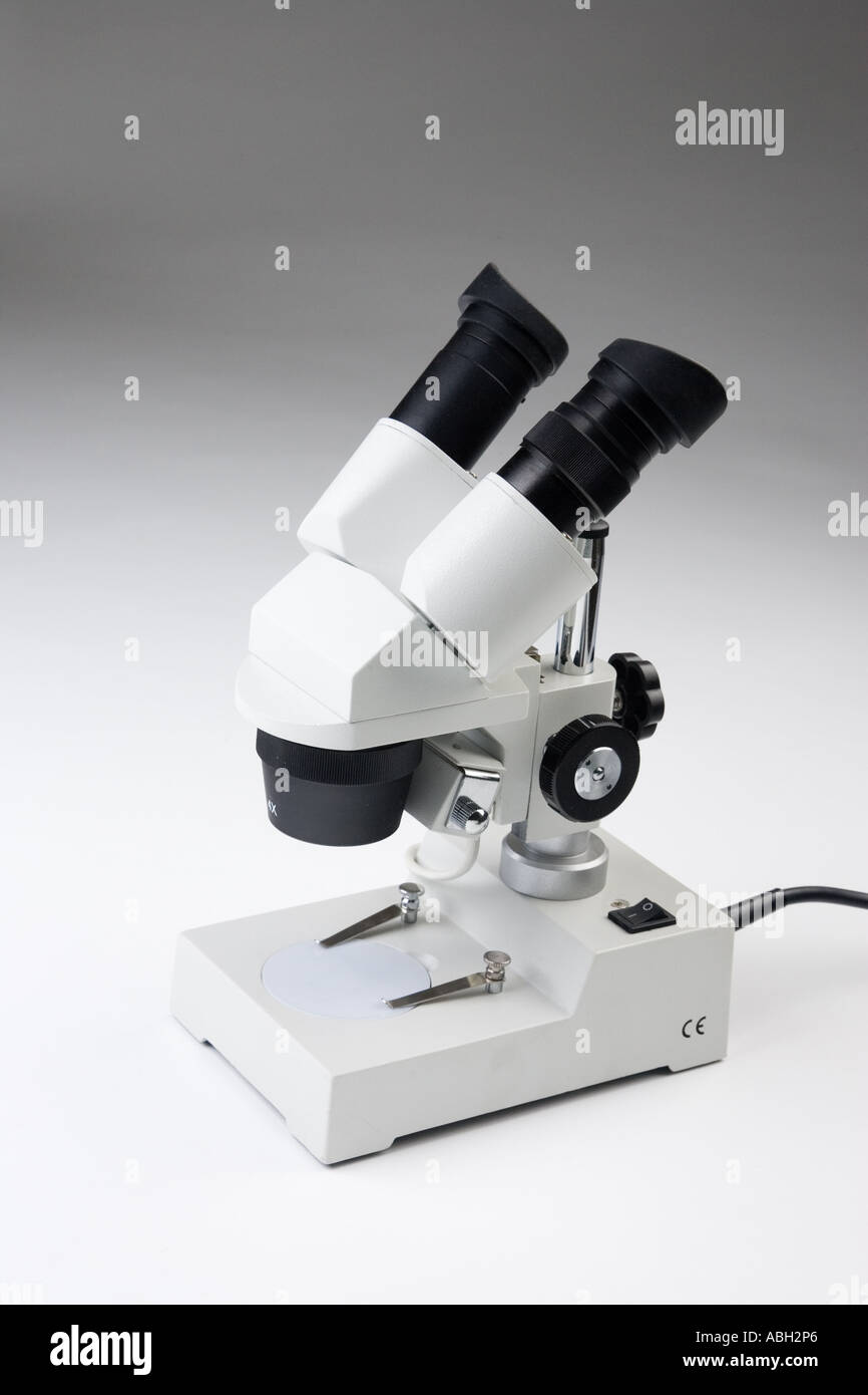 Un microscopio binoculare Foto Stock