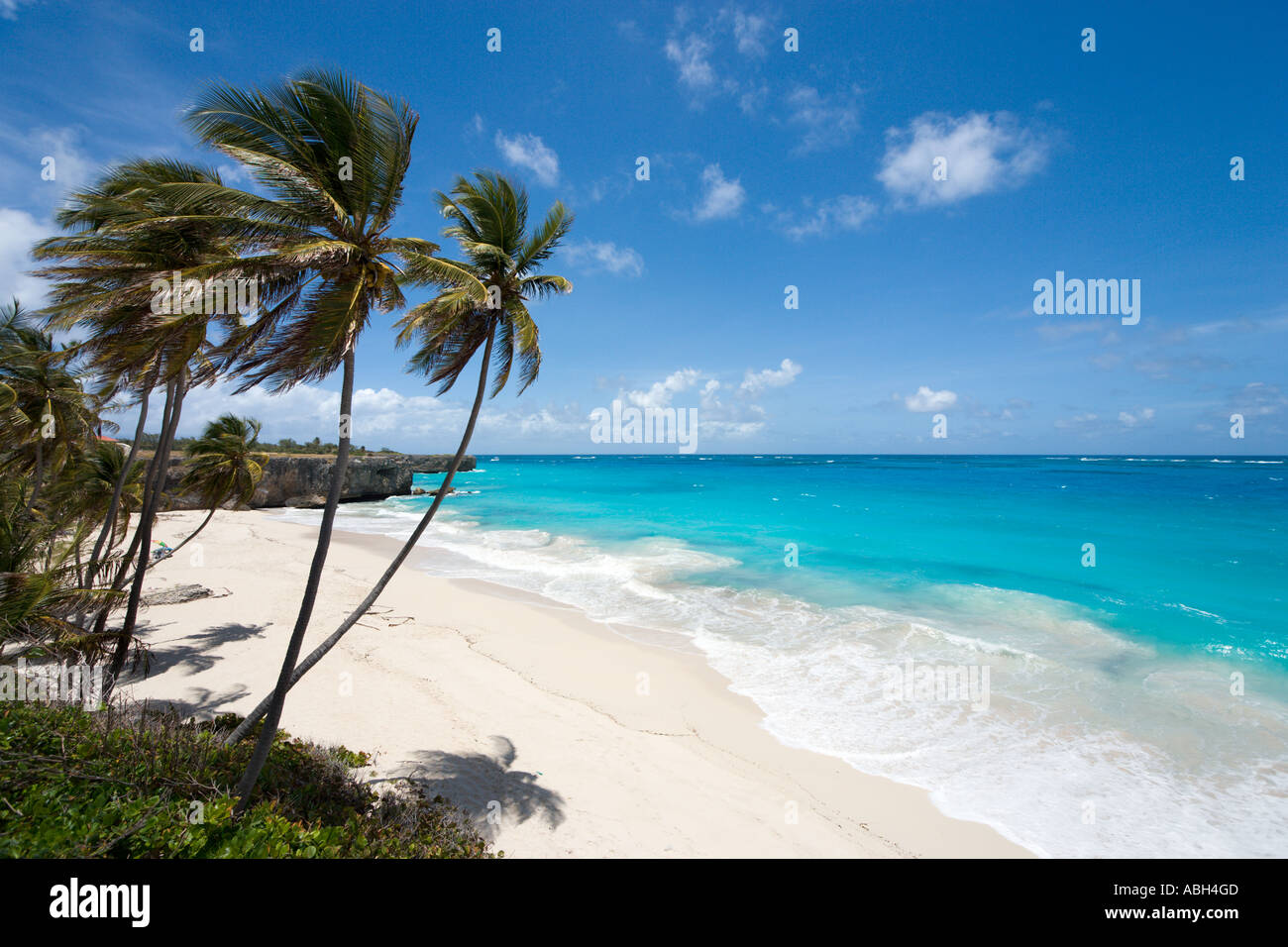 Fondo Bay Beach, costa Sud Orientale, Barbados, Piccole Antille, West Indies, dei Caraibi Foto Stock