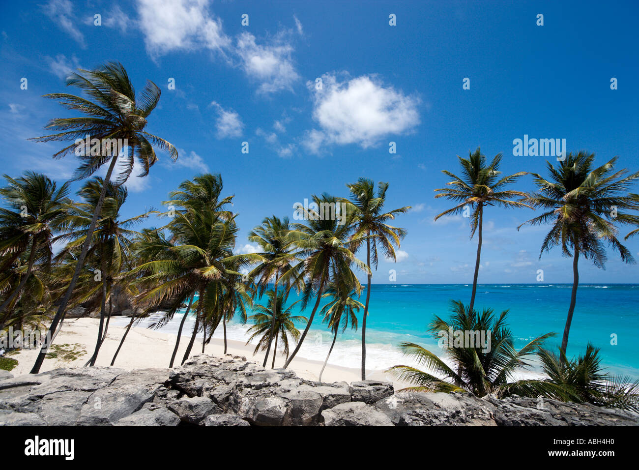 Fondo Bay Beach, costa Sud Orientale, Barbados, Piccole Antille, West Indies, dei Caraibi Foto Stock