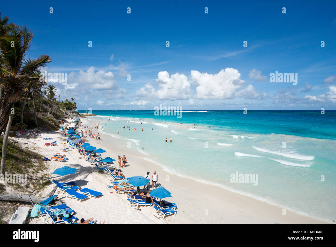 Spiaggia di gru, costa Sud Orientale, Barbados, Piccole Antille, West Indies, dei Caraibi Foto Stock