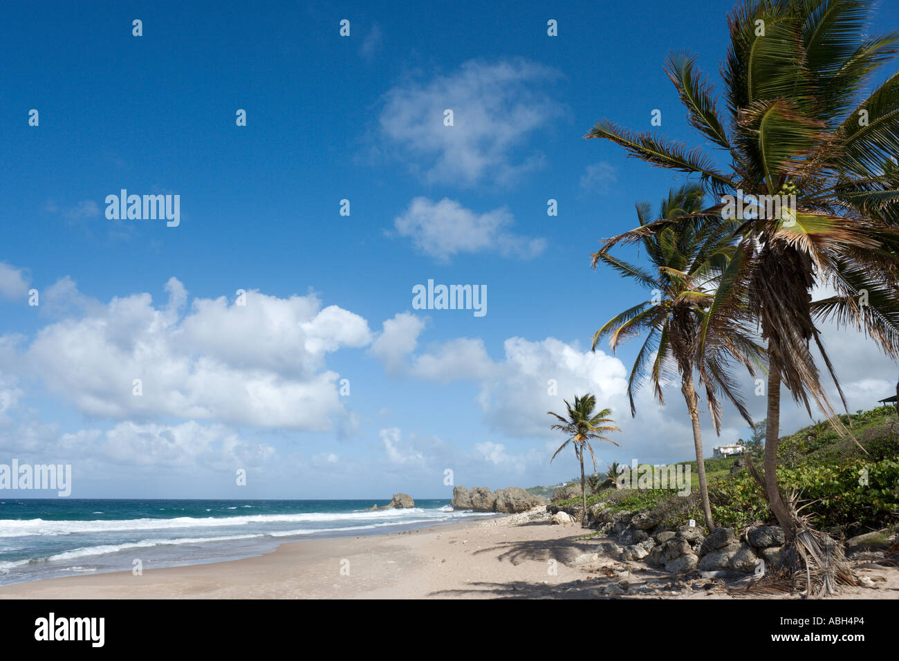 East Coast Beach vicino a Barclays Park, Barbados, Piccole Antille, West Indies, dei Caraibi Foto Stock