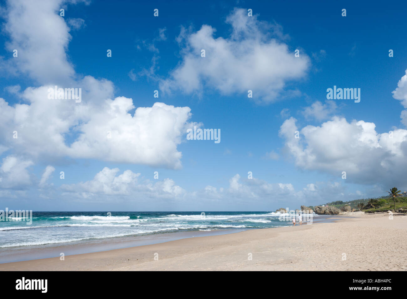 East Coast Beach vicino a Barclays Park, Barbados, Piccole Antille, West Indies, dei Caraibi Foto Stock