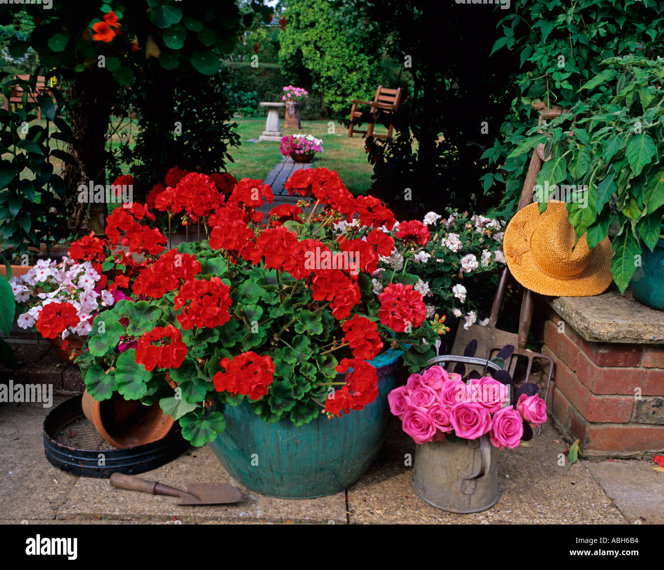 Giardino Stilllife con vasi di fiori Herts UK Foto Stock