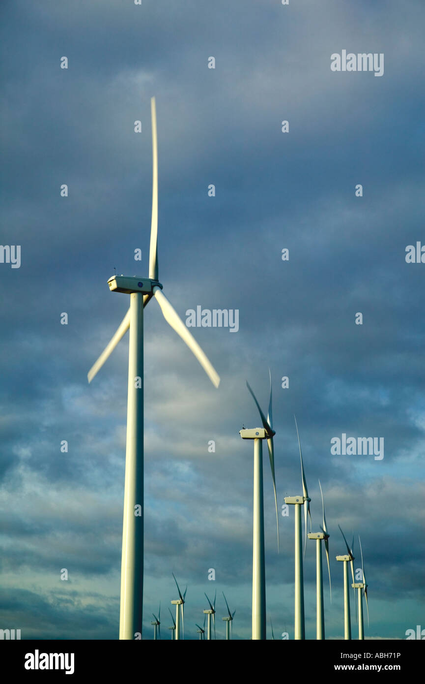 Le turbine eoliche, wind farm, Oregon Foto Stock