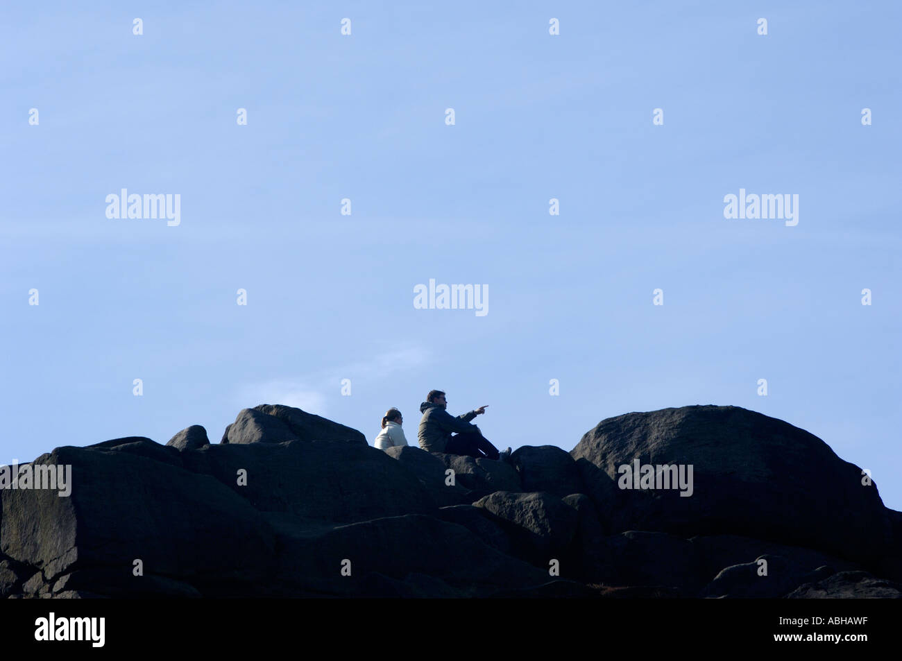 Latte di mucca e di rocce di vitello Ilkley West Yorkshire Regno Unito Foto Stock