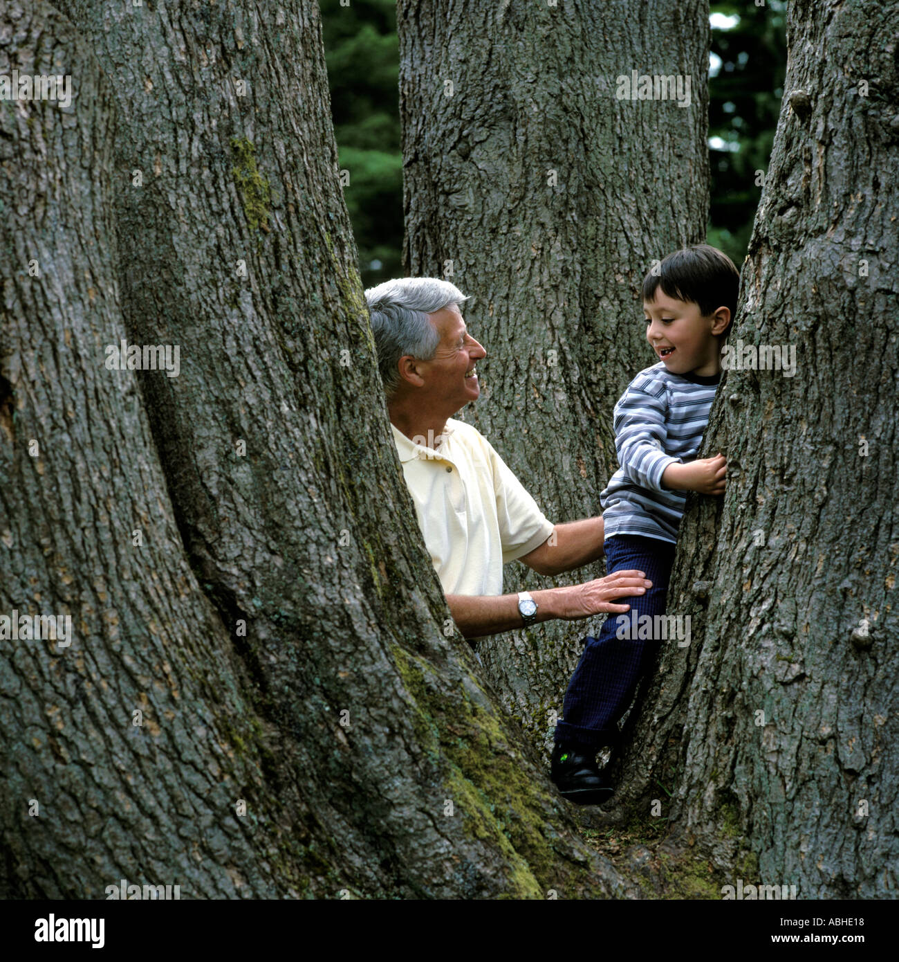 Nonno giocando con il nipote nella struttura ad albero. Modello versioni disponibili. Foto Stock