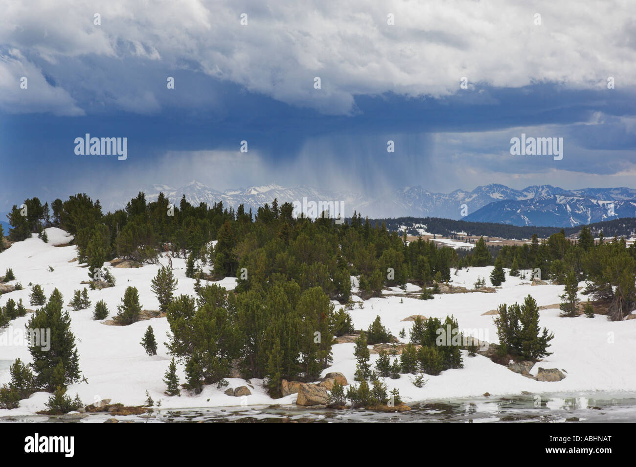 Beartooth pass US Highway 212 nel giugno del Montana USA Stati Uniti d'America Foto Stock
