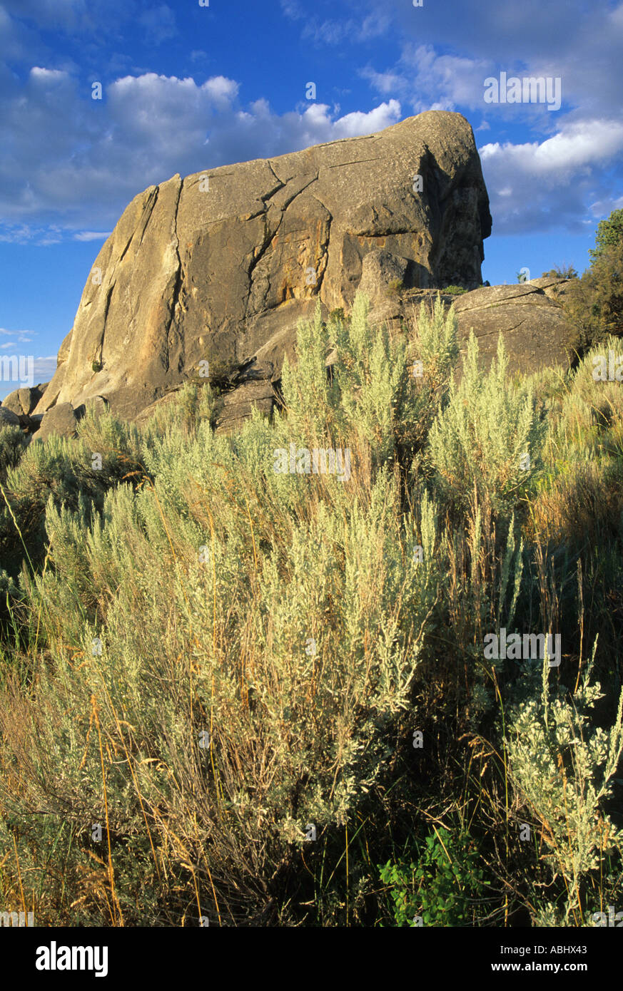 Elephant Rock nella città di Rocks National Preserve in Idaho USA Foto Stock