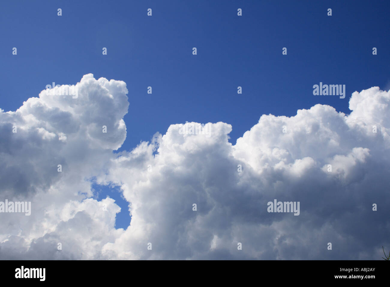 Nuvole temporalesche raccolta contro un cielo blu. Foto di Willy Matheisl Foto Stock