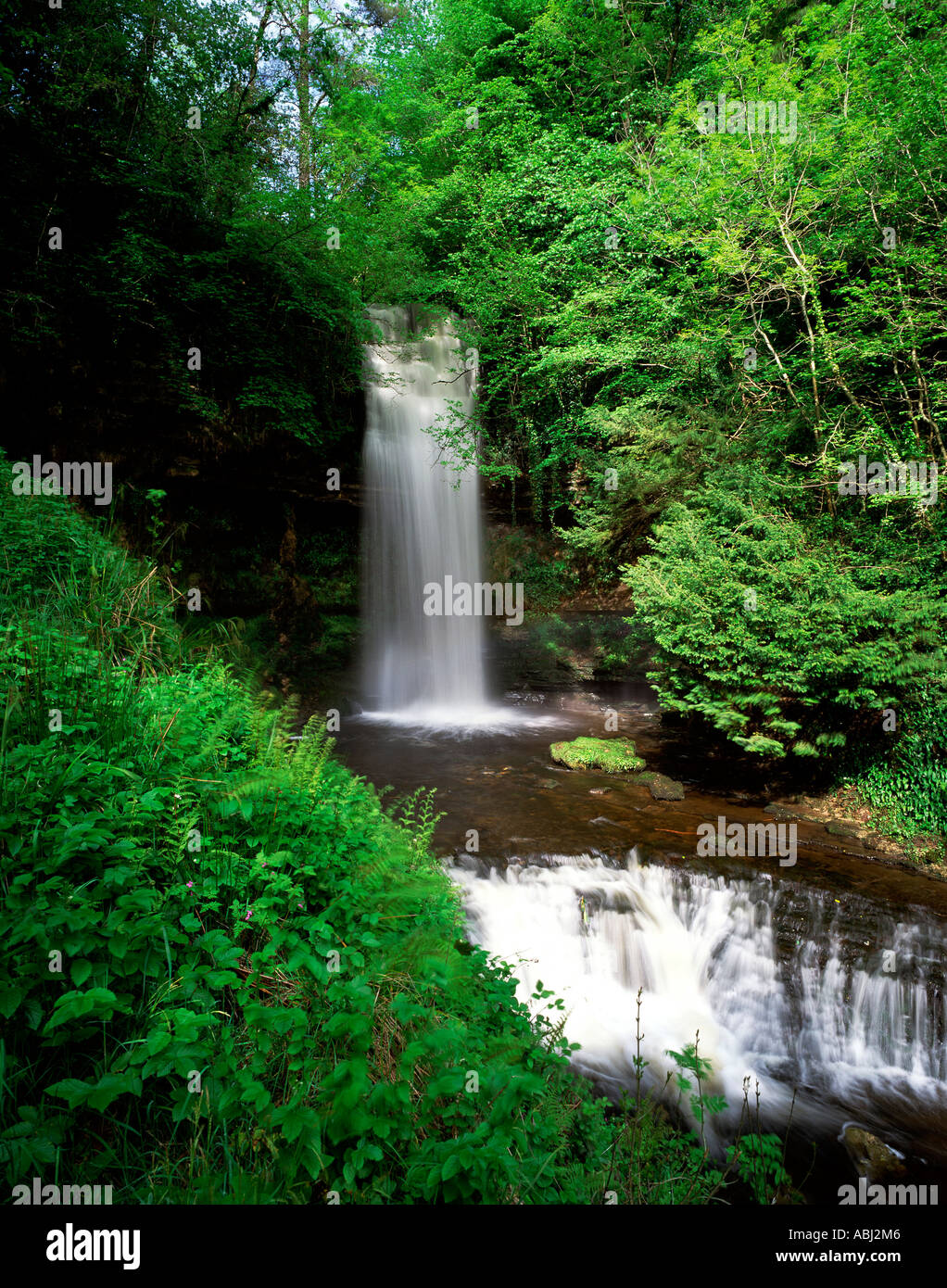 Cascata di Glencar, Co.Leitrim Foto Stock