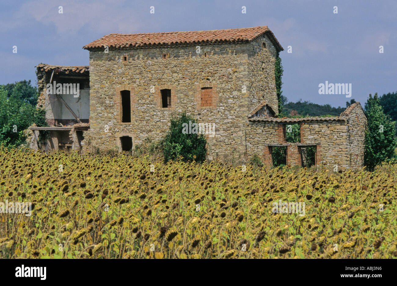 Abbandonati gli edifici di fattoria, Provenza, Francia Foto Stock