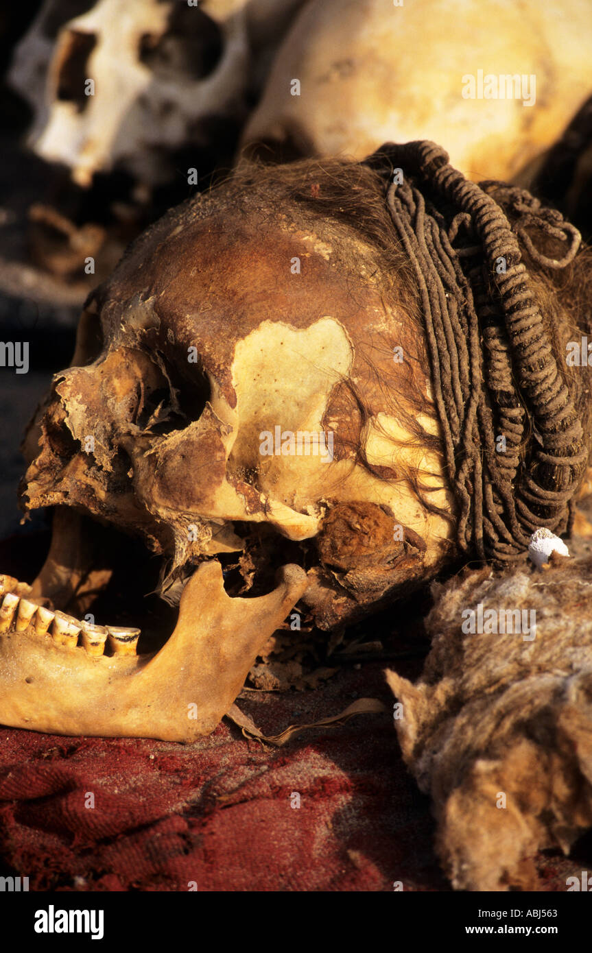 Nei pressi di Nasca, Perù. Cranio con treccia di capelli e pelle, che mostra denti usurati giù; Chauchilla cimitero. Foto Stock