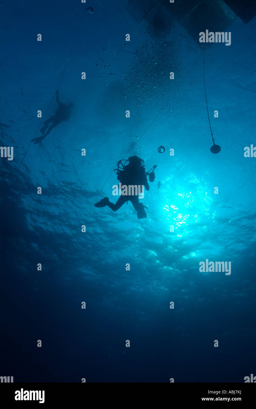 Scuba Diver facendo una sosta di sicurezza nel Golfo del Messico off Texas Foto Stock