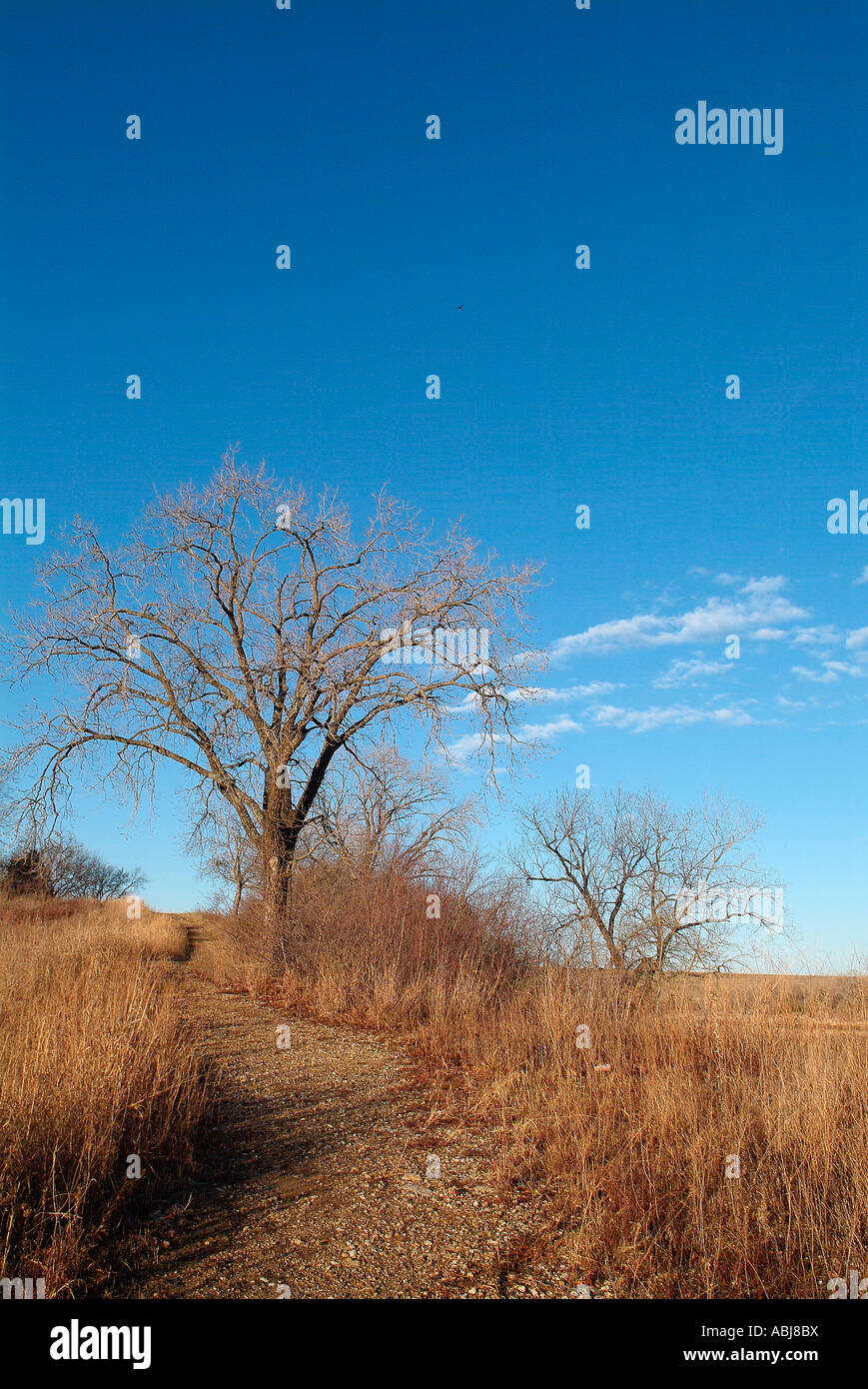 Paesaggio intorno al lago Texoma in Texas Foto Stock