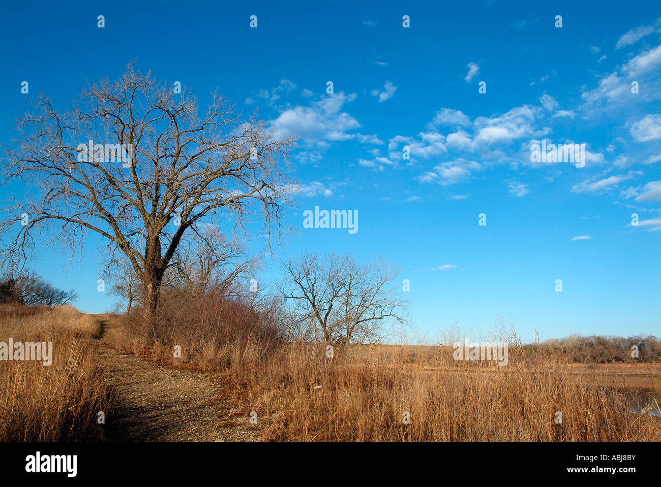 Paesaggio intorno al lago Texoma in Texas Foto Stock