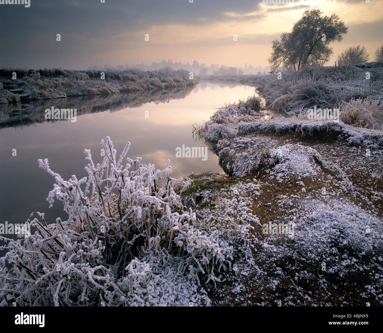 GB - WORCESTERSHIRE: inverno lungo il fiume Avon vicino Bredon di Norton Foto Stock