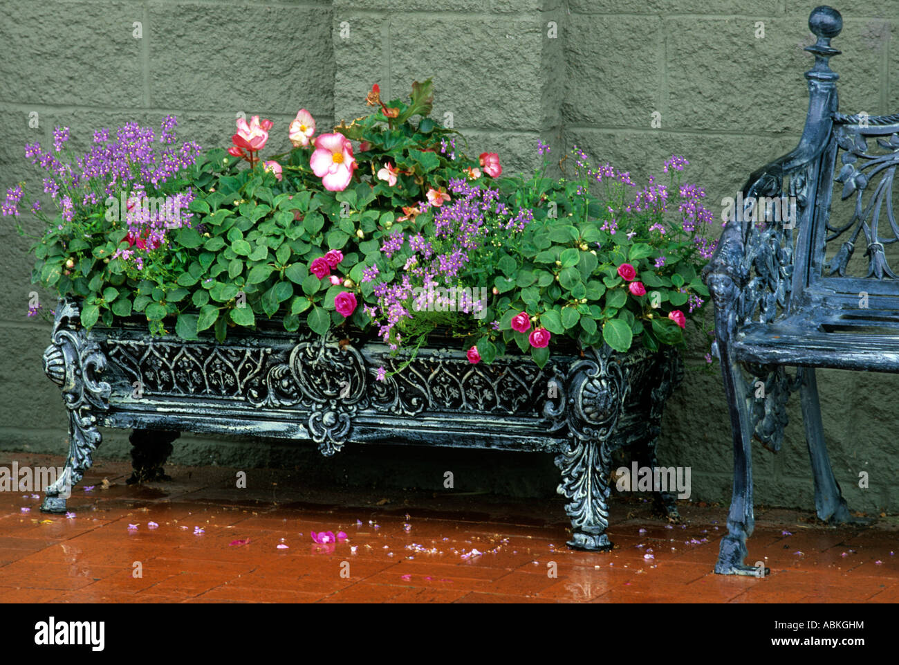 Letti in ferro battuto con contenitore di piante annue di fioritura in Minnesota e giardino. Metà dell'estate. Foto Stock