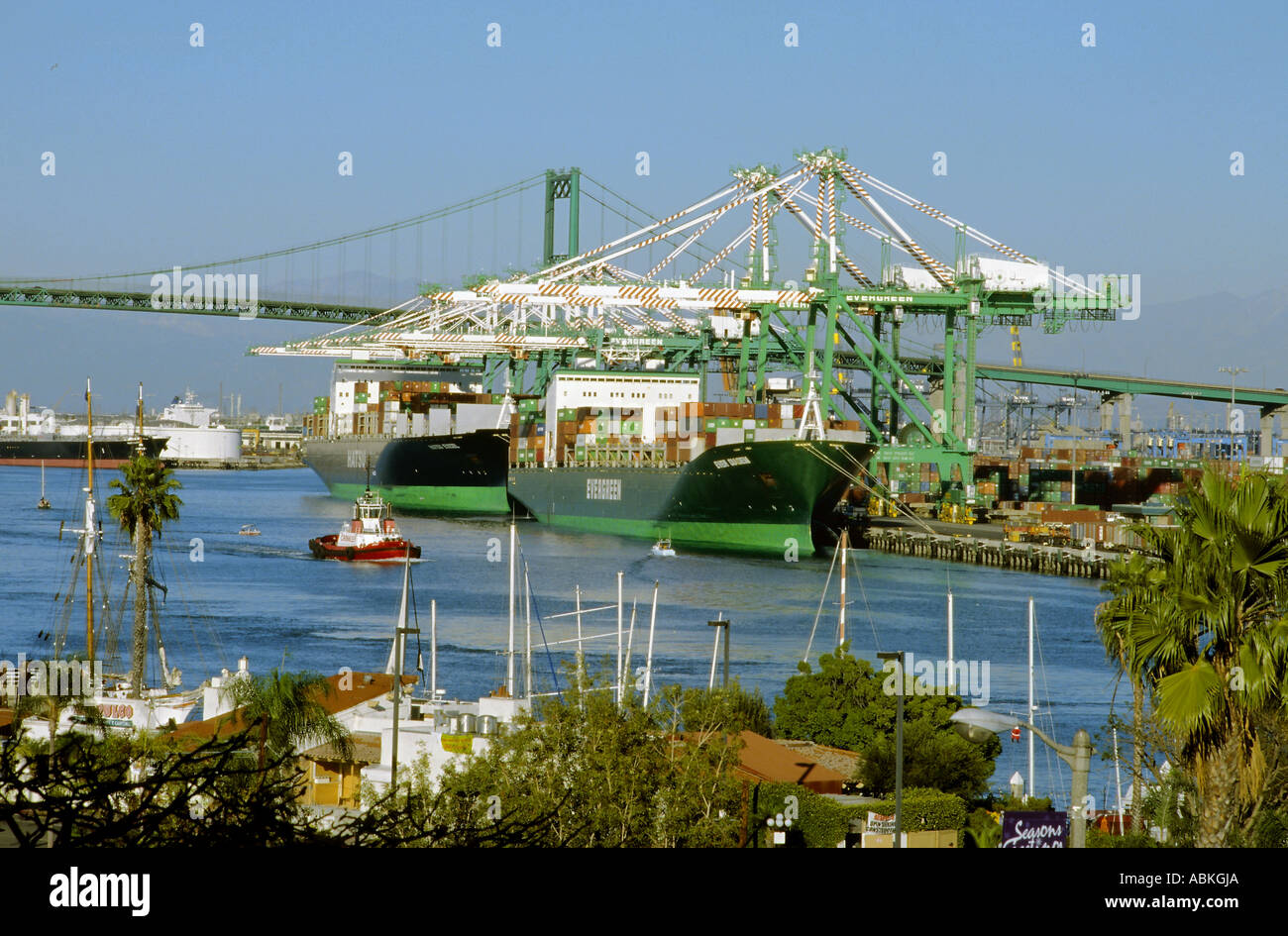 Le gru si trova presso il canale principale in San Pedro Harbor, California, sullo sfondo la Vincent Thomas Bridge Foto Stock