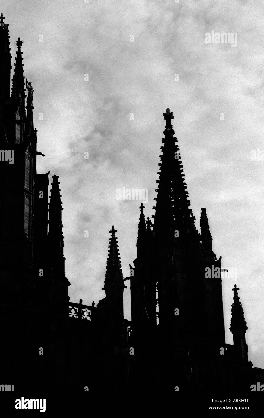 Cattedrale di Barcellona. Foto Stock